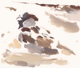 Dust bathing sparrow painting by Esther Tyson