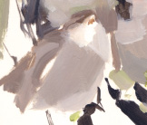 Juvenile sparrow painting by Esther Tyson