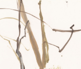 Woodland, Monsdale lane painting by Esther Tyson