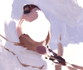 Bullfinch painting by Esther Tyson
