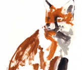 Fox painting by Esther Tyson