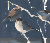 Farm sparrows painting by Esther Tyson