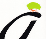 Ant screenprint by Esther Tyson