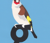 Goldfinch screenprint by Esther Tyson