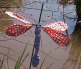 Esther Tyson's Pond Life